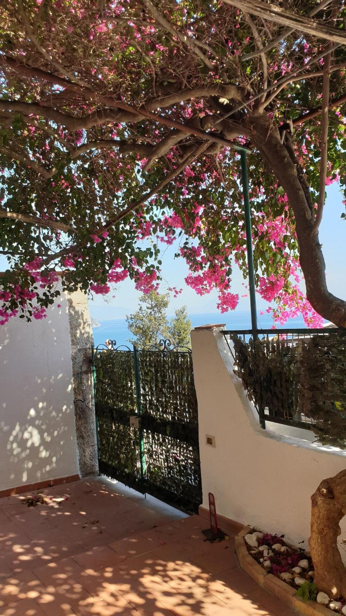 Villa Grace Amalfi Seaview Zewnętrze zdjęcie