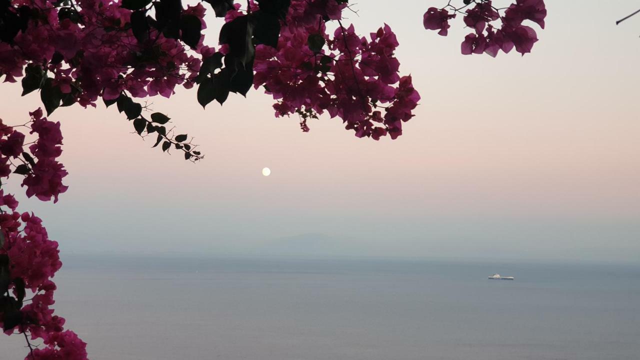 Villa Grace Amalfi Seaview Zewnętrze zdjęcie